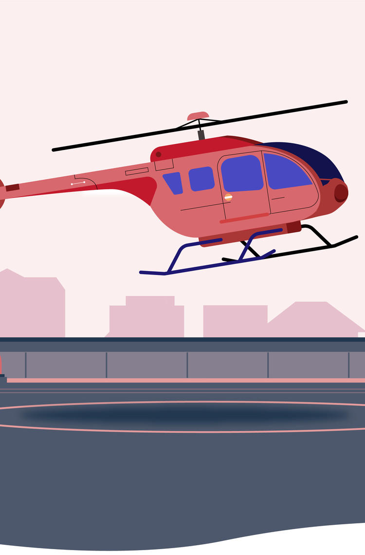 Science of Flight banner Science of Flight banner