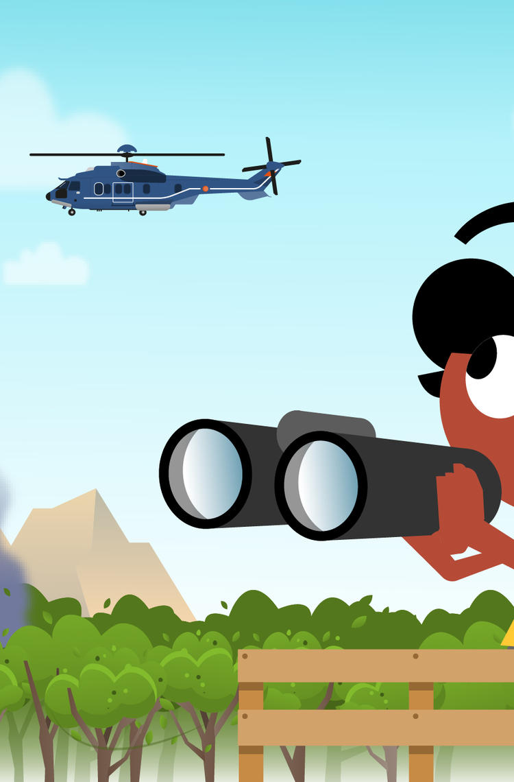 image helico image helico