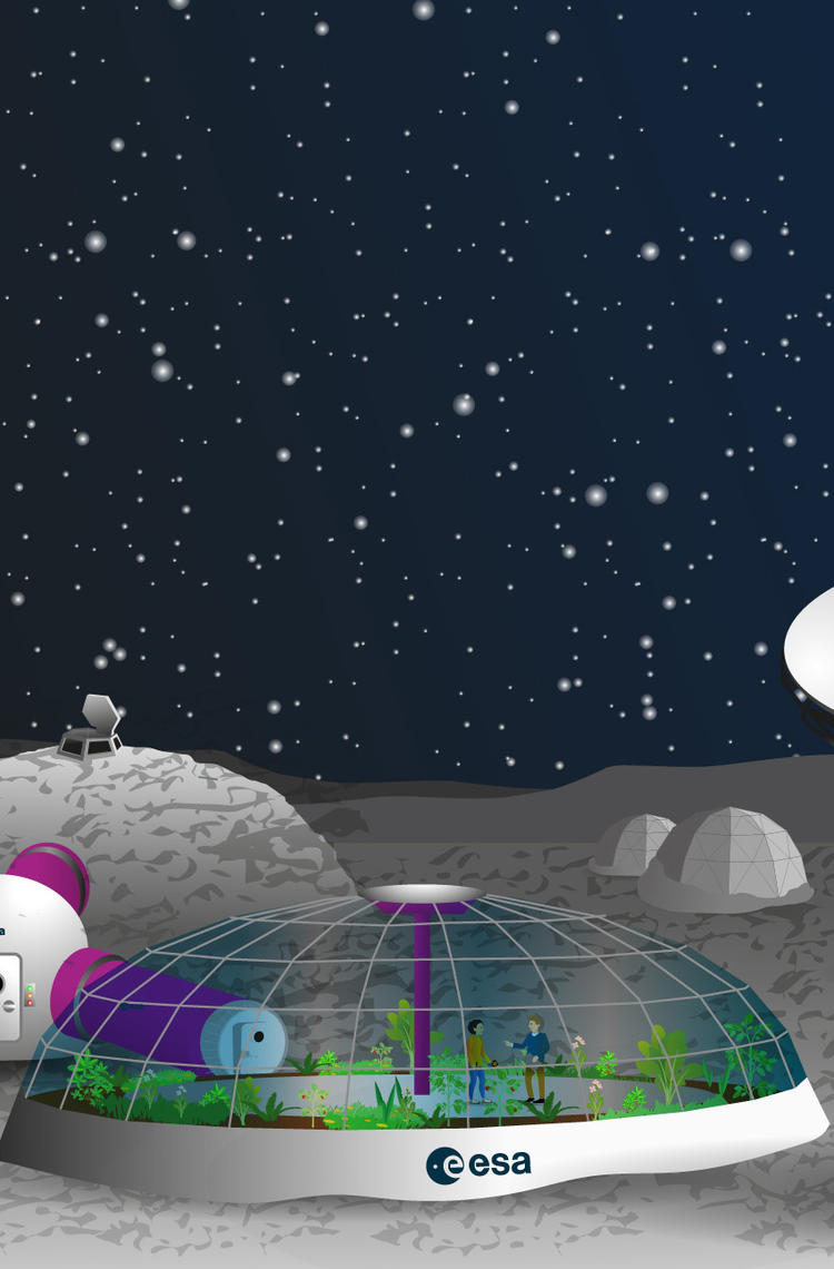 mooncamp_pioneers_banner_clean mooncamp_pioneers_banner_clean