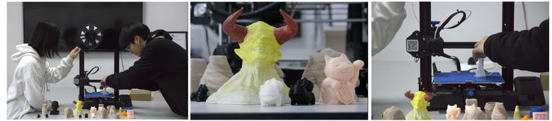 queen-cells_team_china_Moon Camp Challenge